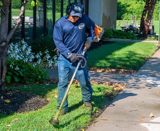 Man Taking Care Of Property